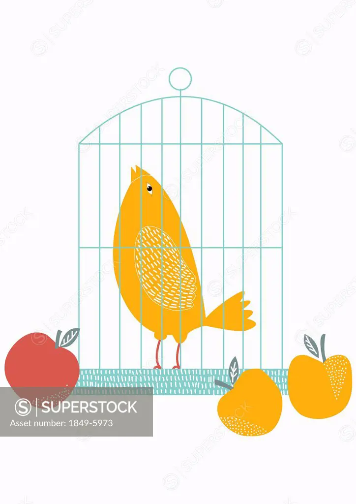 Fruit beside birdcage with singing bird inside