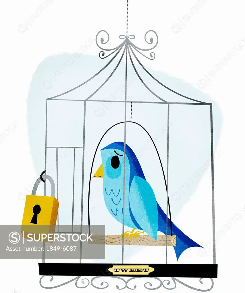 Padlock on birdcage with label tweet containing sad bird