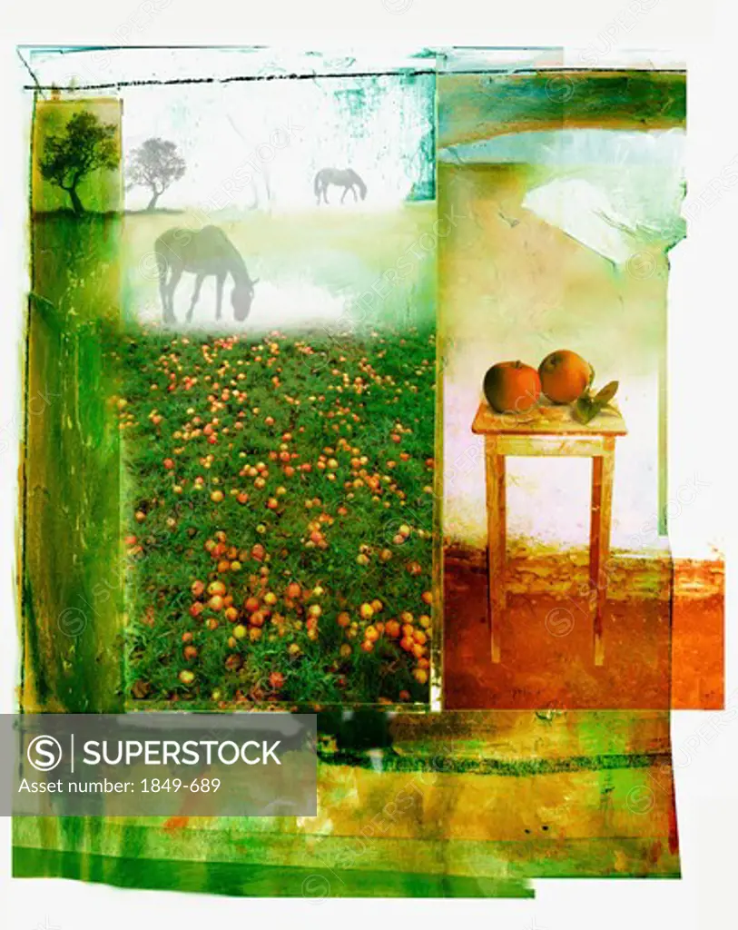 Tranquil orchard and countryside scene