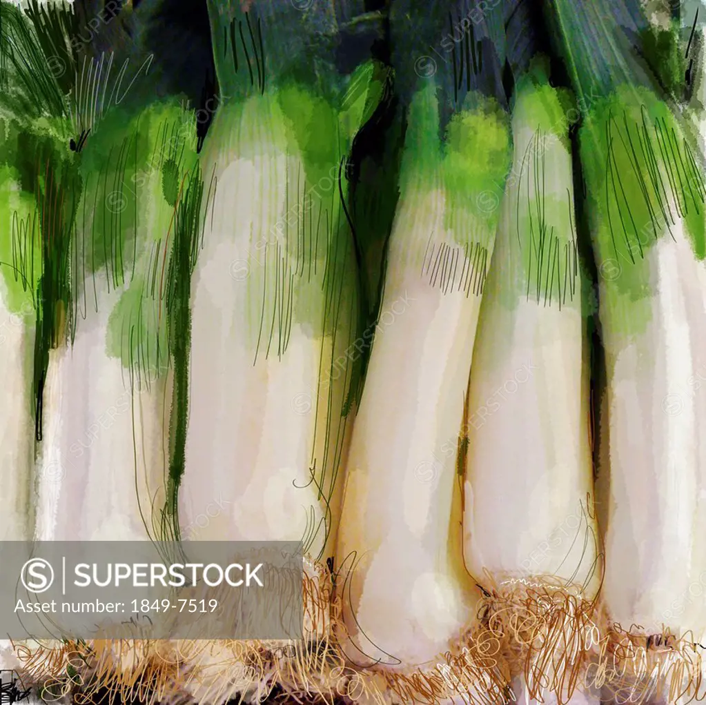 Close up of leeks in a row