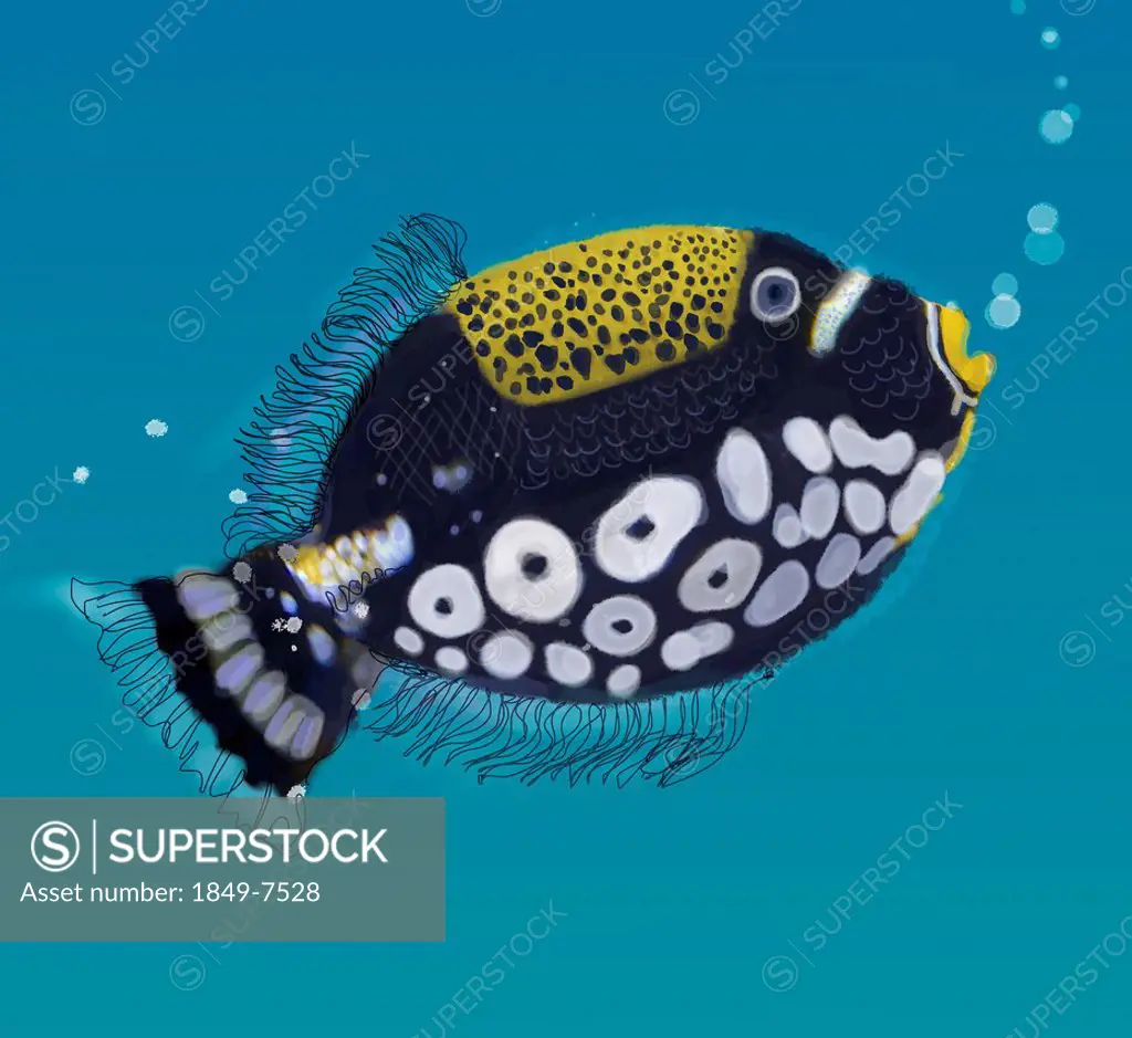 Close up of spotted tropical fish underwater