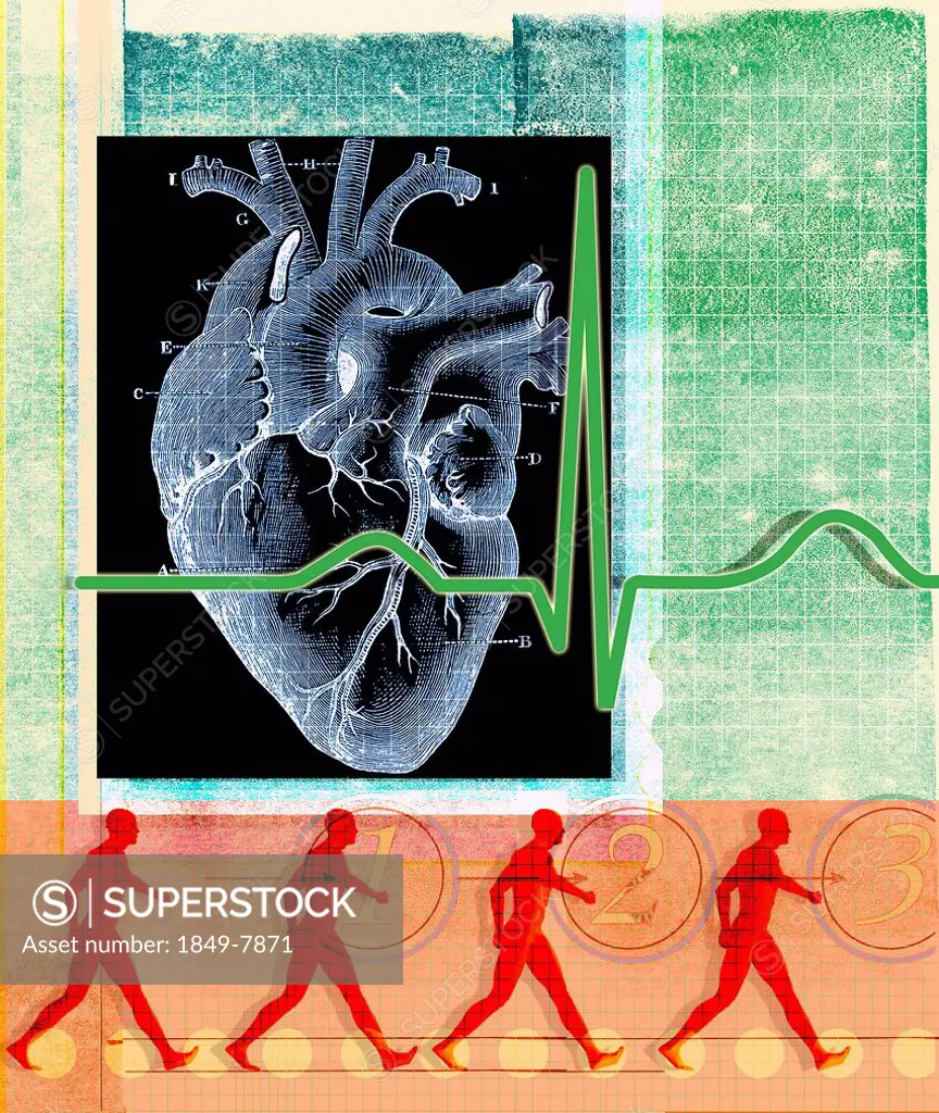 Human heart and pulse trace with walking man