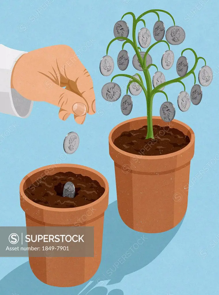 Hand planting Canadian dollar coins into plant pot next to money tree
