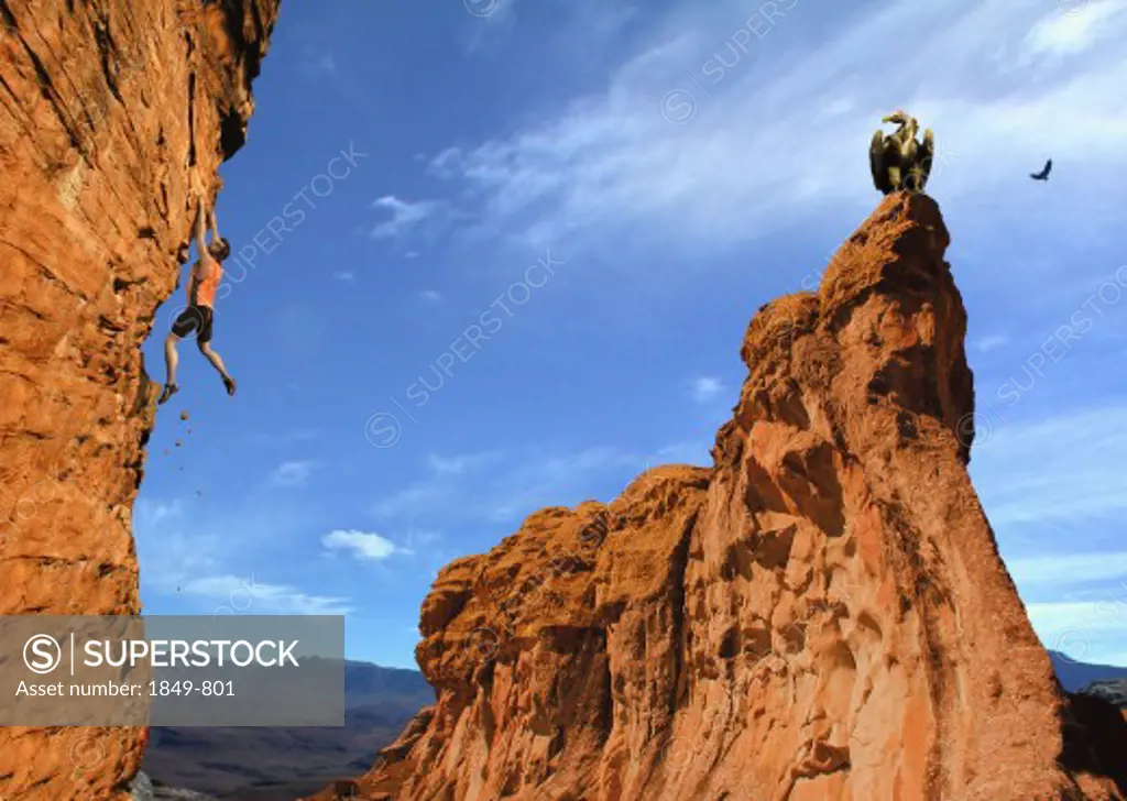 Rock climber dangling from cliff wall with vulture watching