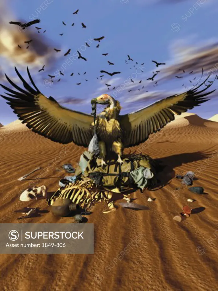Vulture picking over skeletal remains in desert
