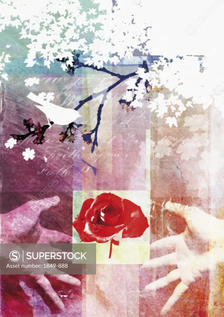 Collage of rose, bird, hands and tree