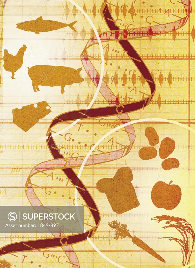 Collage of animals, food and DNA helix
