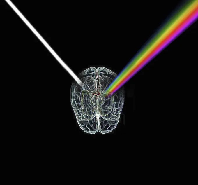 Wire brain refracting light as a prism