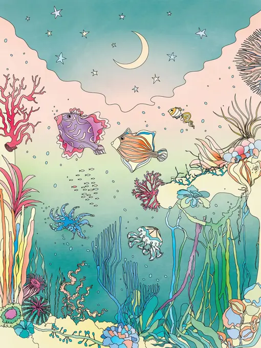 Pretty sea creatures underwater