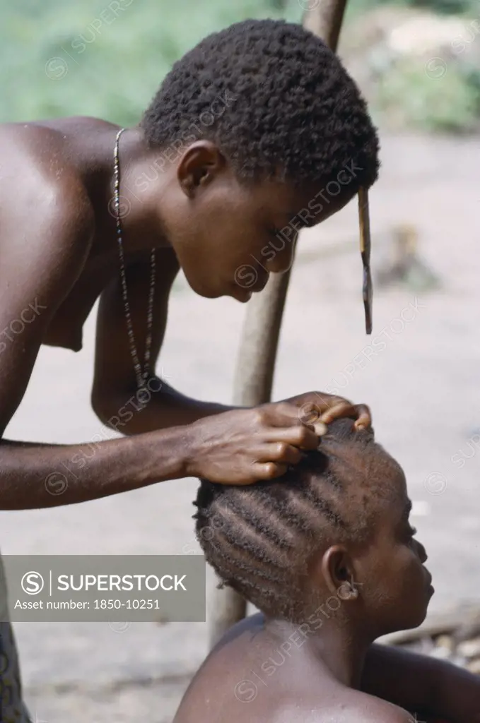 Congo, Ituri Forest, Pygmy Woman Checking Her Daughters Hair For Head Lice.