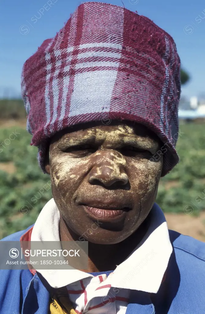 South Africa, Western Cape, Stellenbosch, Portrait Of An Agricultural Farm Worker At Mooiberg Fruit And Vegetable Farm