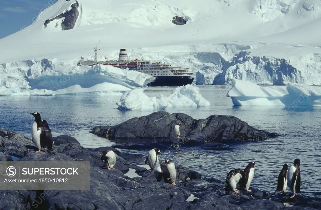 Antarctica, Antarctic Peninsula, Paradise Harbour, Marco Polo Cruise Ship With Penguin Colony On Rocks In Foreground.