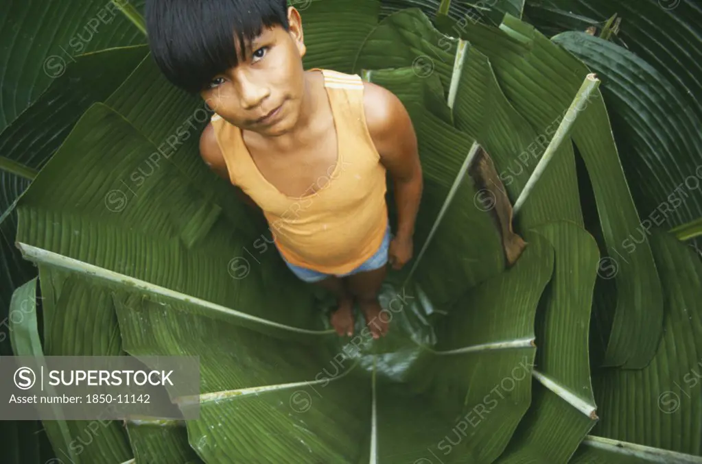 Colombia, Amazonas, Santa Isabel, Young Macuna Boy Standing In A Hole Lined With Heliconia Leaves Used For Storing Manioc Starch.