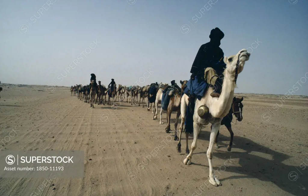 Algeria, General, Toureg Camel Train Traveling Through The Desert.