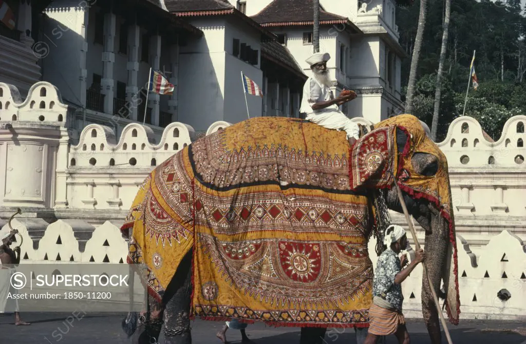 Sri Lanka, Kandy, Perahera Buddhist Festival Procession.  Elephant Wearing Decorative Batik Cloth.