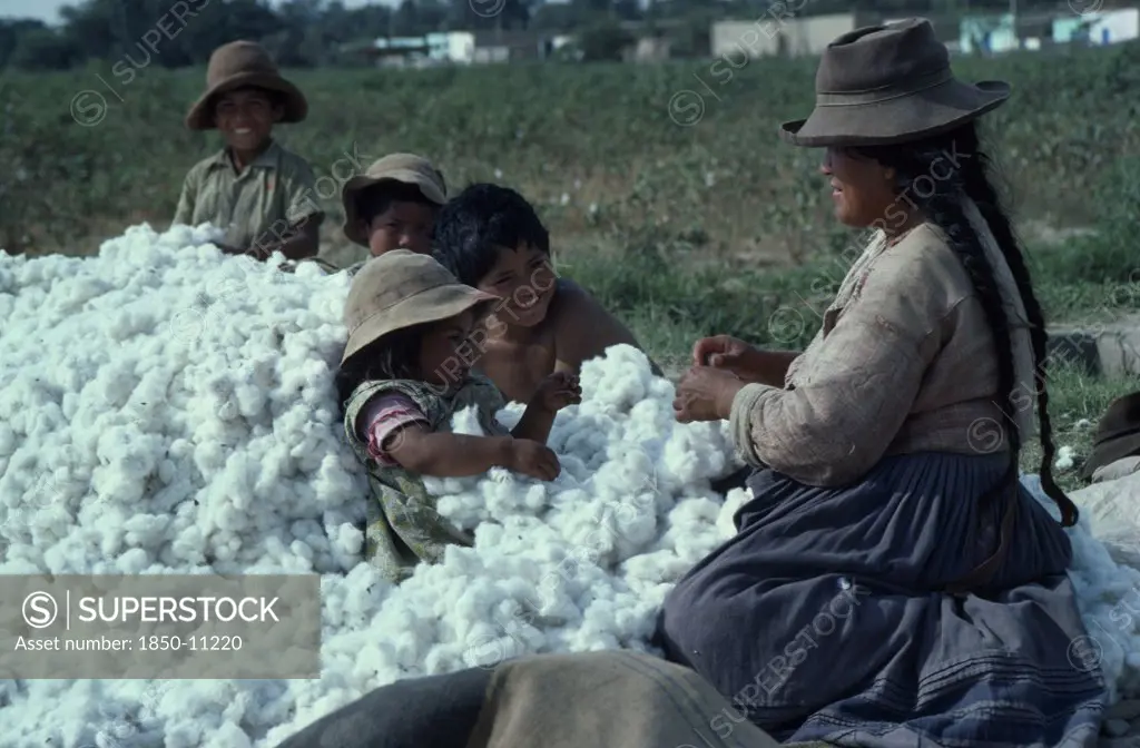Peru, Ica, Woman And Children With Harvested Cotton Bols.