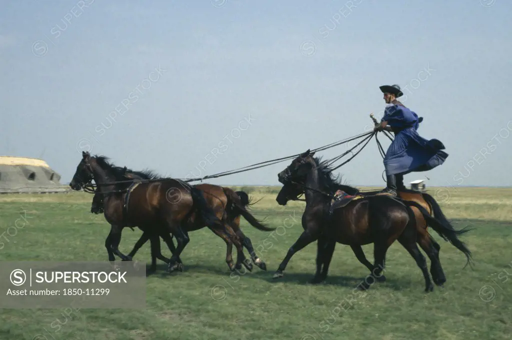 Hungary, Great Hungarian Plain, Cossack Horseman Driving Team Of Five Horses From Sanding Position On Backs Of Pair Behind.