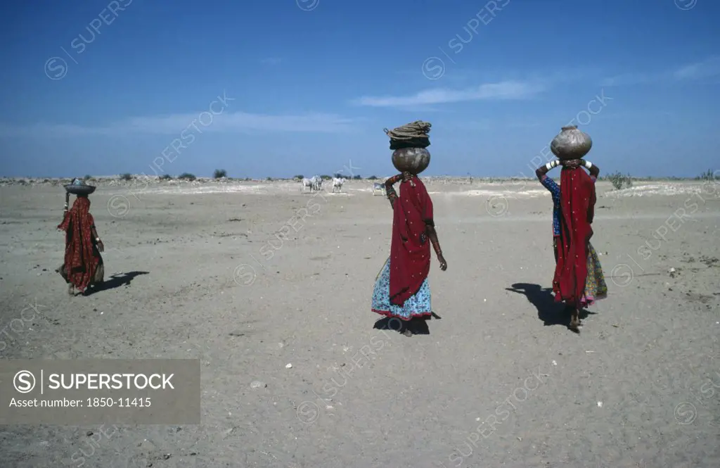 India, Rajasthan, Thar Desert, Women Returning From Village Well Carrying Water On Their Heads.