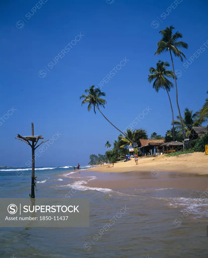 Sri Lanka, Hikkaduwa, View Along Sandy Beach With Overhanging Palms Toward Beach Front Restaurant And Fishermans Perch In The Foreground