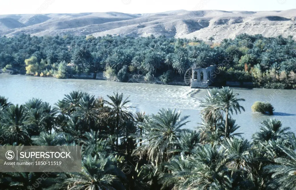 Iraq, South, Euphrates River, River And Water Wheel Lined By Palms Looking West From Minaret Of Mosque In Qalat Ana