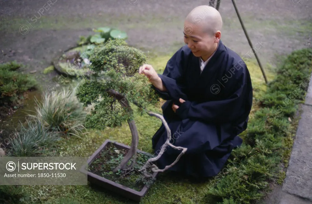 Japan, People, Zen Buddhist Monk And Bonsai Tree