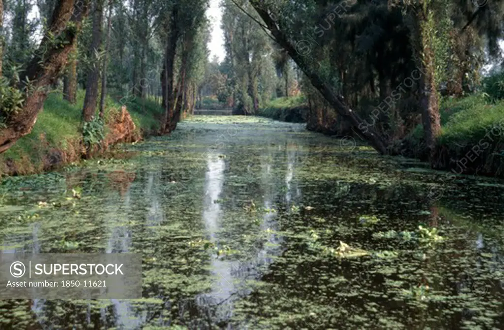 Mexico, Mexico City, Xochimilco.  Waterway With Overhanging Trees.