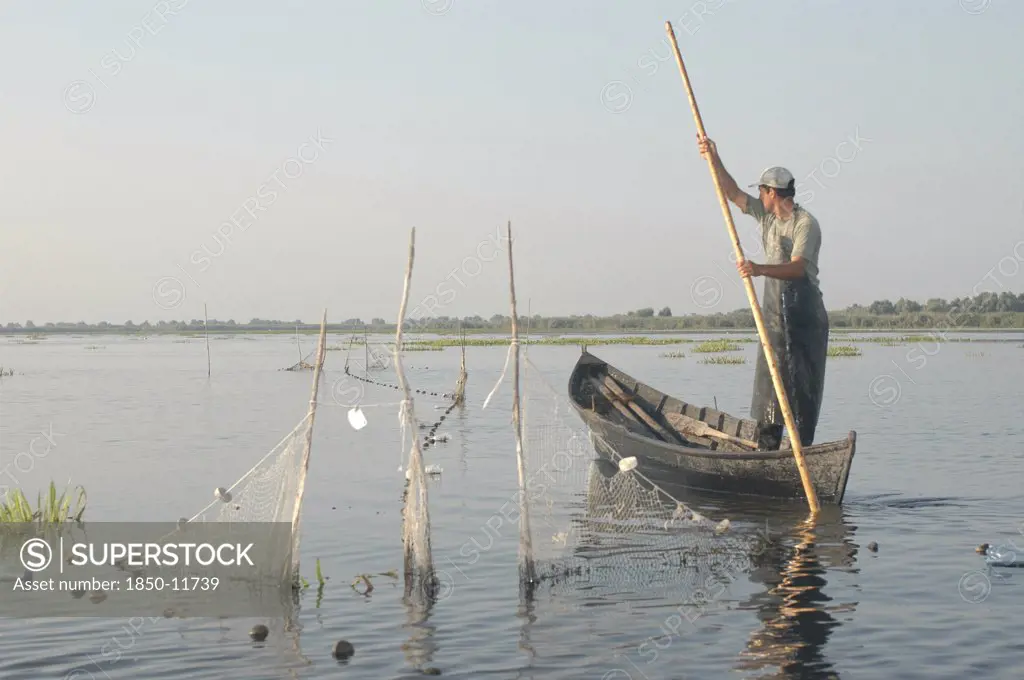 Romania, Tulcea, Danube Delta Biosphere Reserve, Professional Fisherman In Canoe On Lake Isac Checking His Nets