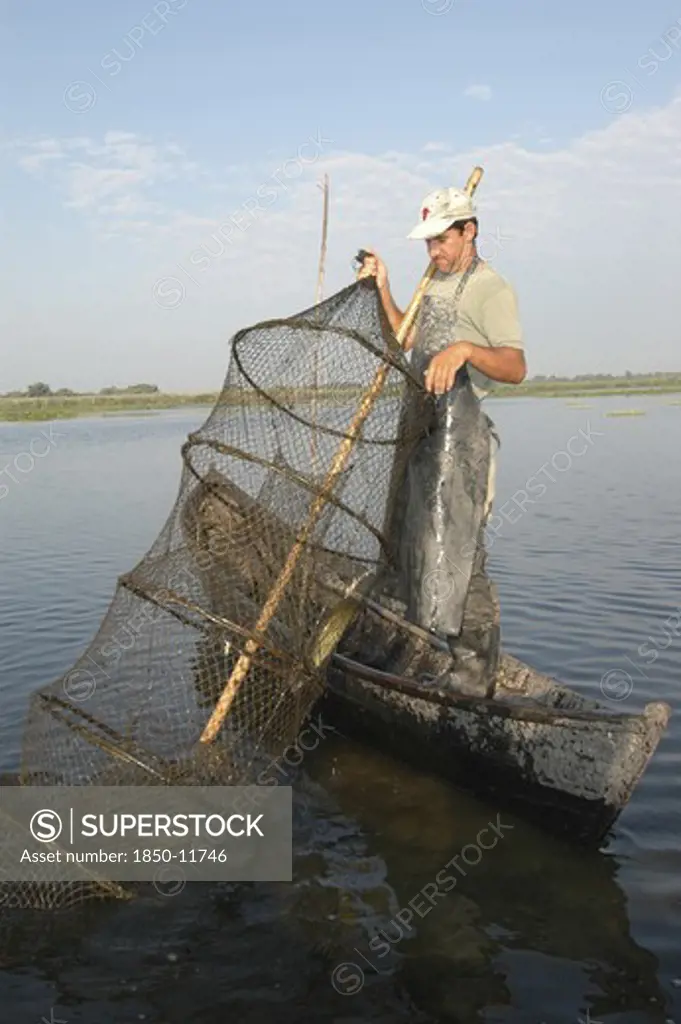 Romania, Tulcea, Danube Delta Biosphere Reserve, Professional Fisherman In Canoe On Lake Isac Checking His Nets