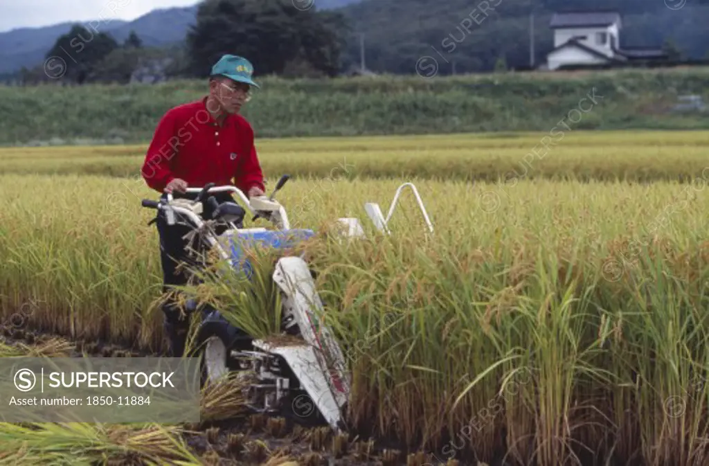Japan, Honshu, Densho En, Male Farm Worker Harvesting Rice Fields With A Hand Held Machine