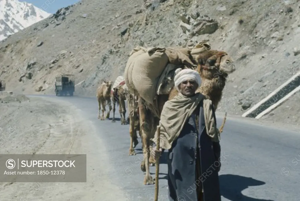 Afghanistan, Transport, Man Leading Camel Train Along Road With Truck Travelling In Opposite Direction.