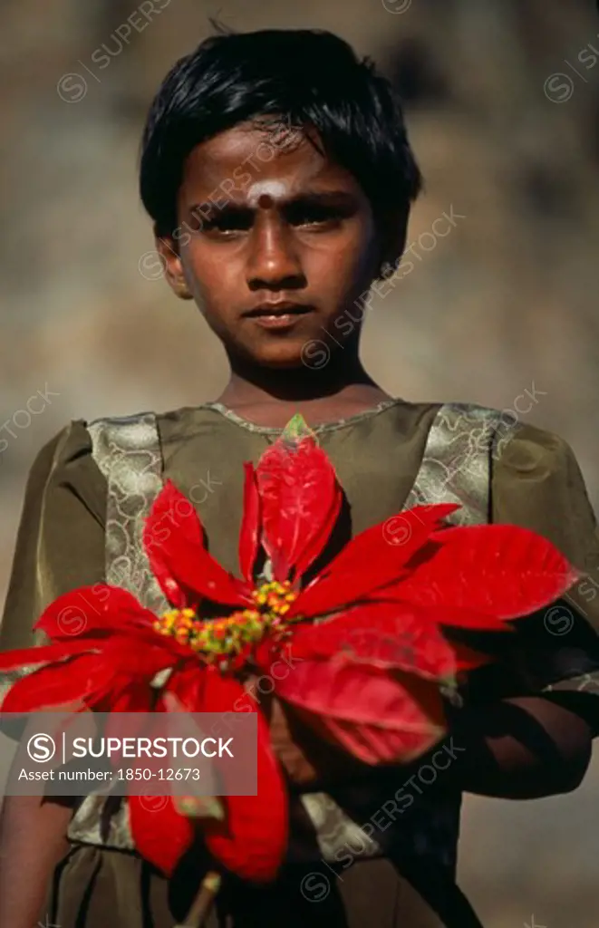 Sri Lanka, Haputale, Portrait Of A Girl Holding A Large Red Flower