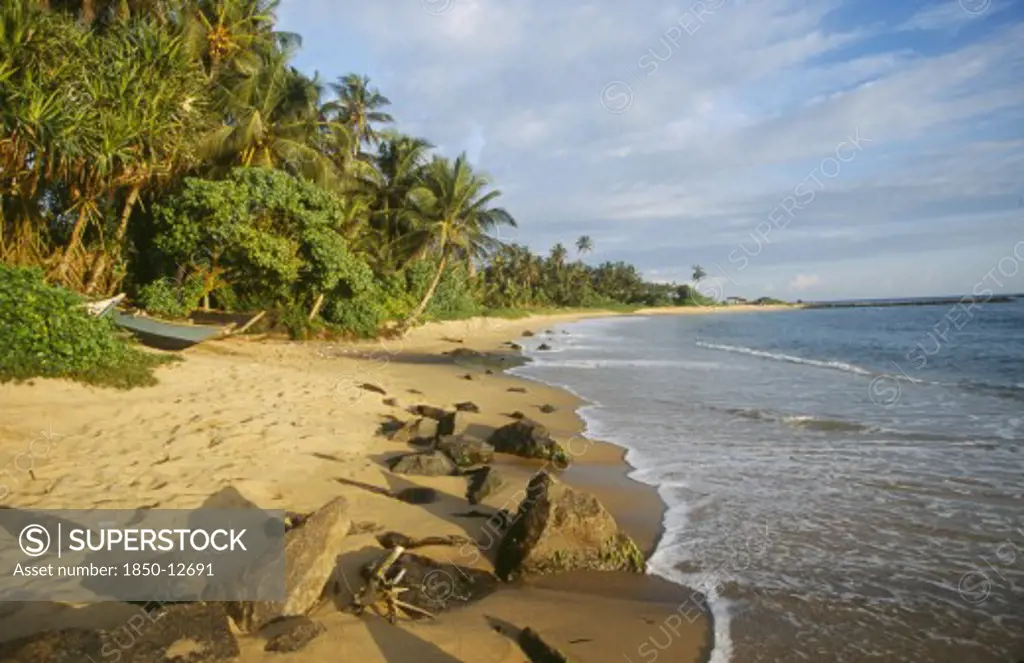 Sri Lanka, Mirissa, View Along Sandy Beach With Overhanging Palms And Rocks In The Foreground