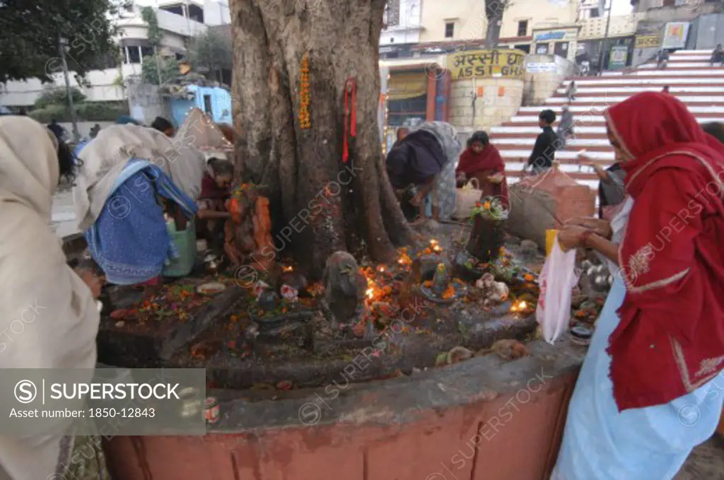 India, Uttar Pradesh, Varanasi, Hindu Women Worshipping Shiva Lingams Around A Chautara Tree At Asi Ghat
