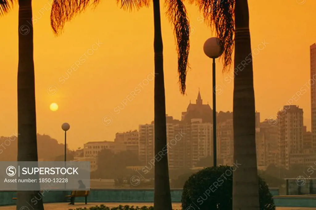 China, Macau, City Skyline At Sunset With Trunks Of Palm Trees In Foreground Framing Single Figure On Bench.