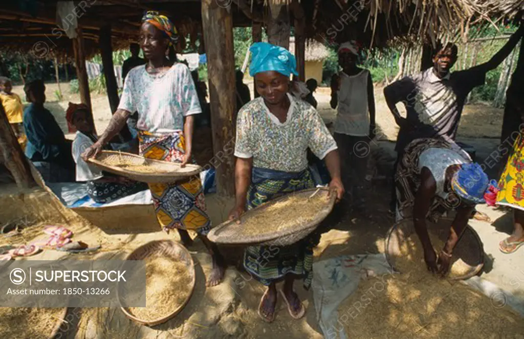 Liberia   , Margibi, Wohn, Women Winnowing Grain.
