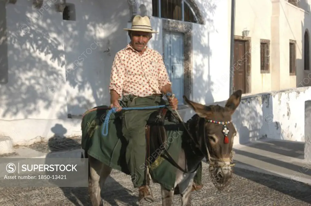 Greece, Cyclades, Santorini, Man On The Back Of A Donkey In The Street