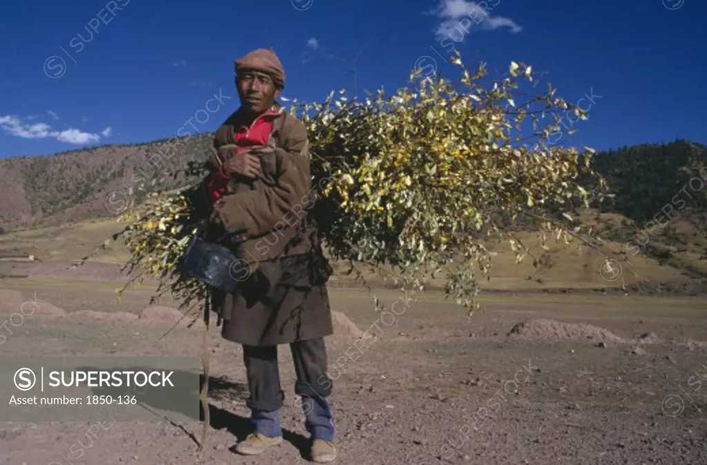 China, Tibet, Markam, Man Carrying Roofing Materials On His Back