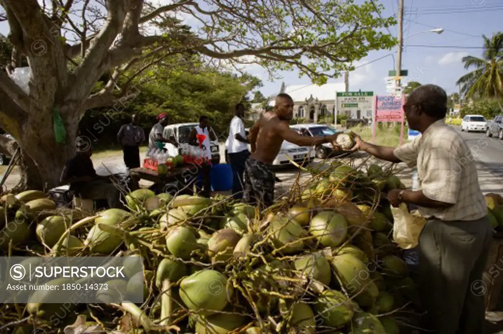 West Indies, Barbados, St James, Man Buying From Men Opening Coconuts To Sell The Juice In Bottles Beside The Road In Holetown