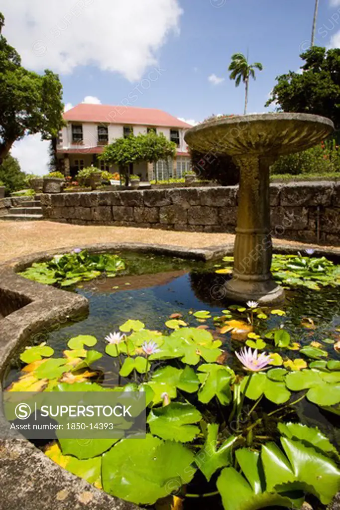 West Indies, Barbados, St George, Francia Plantation House Gardens And Waterlilly Pond With Fountain