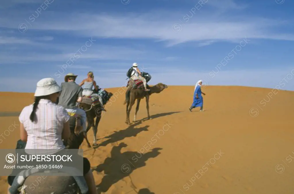 Morocco, Sahara, Merzouga, Guide Leading Tourist Camel Train Through Desert Landscape.