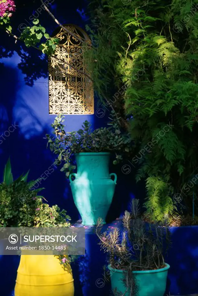 Morocco, Marrakesh, The Jardin Majorelle Owned By Yves St Laurent.  Detail Of Planting Against Vivid Blue Wall With Metal Screen Insert.