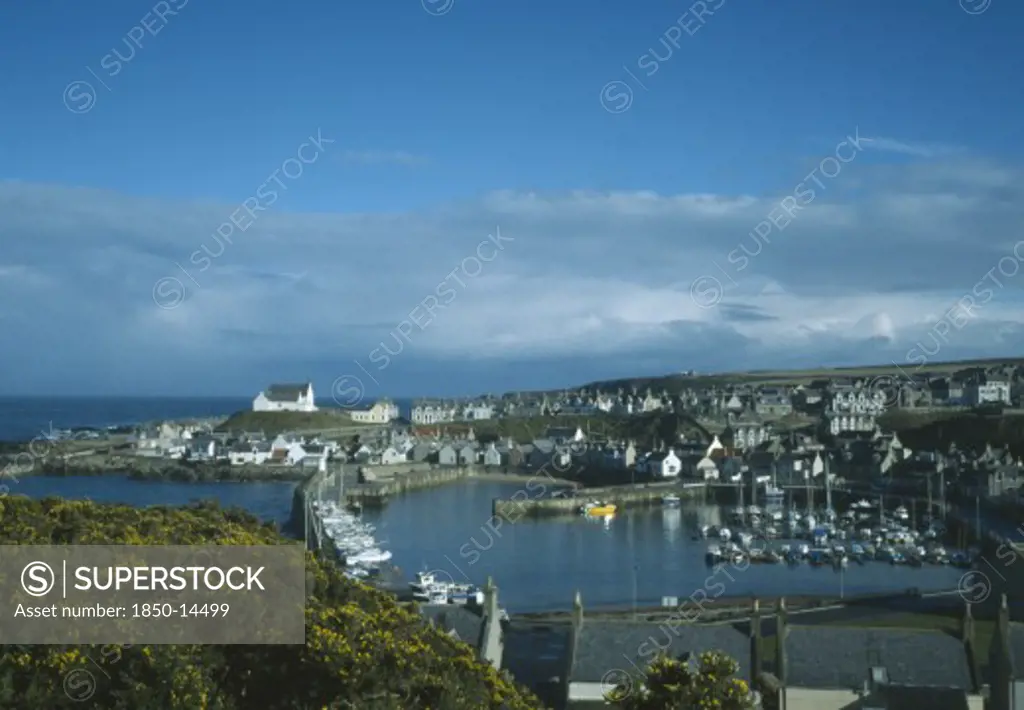 Scotland, Moray, Findochty, Fishing Village On North Coast With Pleasure Boats Moored Within Harbour Walls And Gorse In Flower In The Foreground.