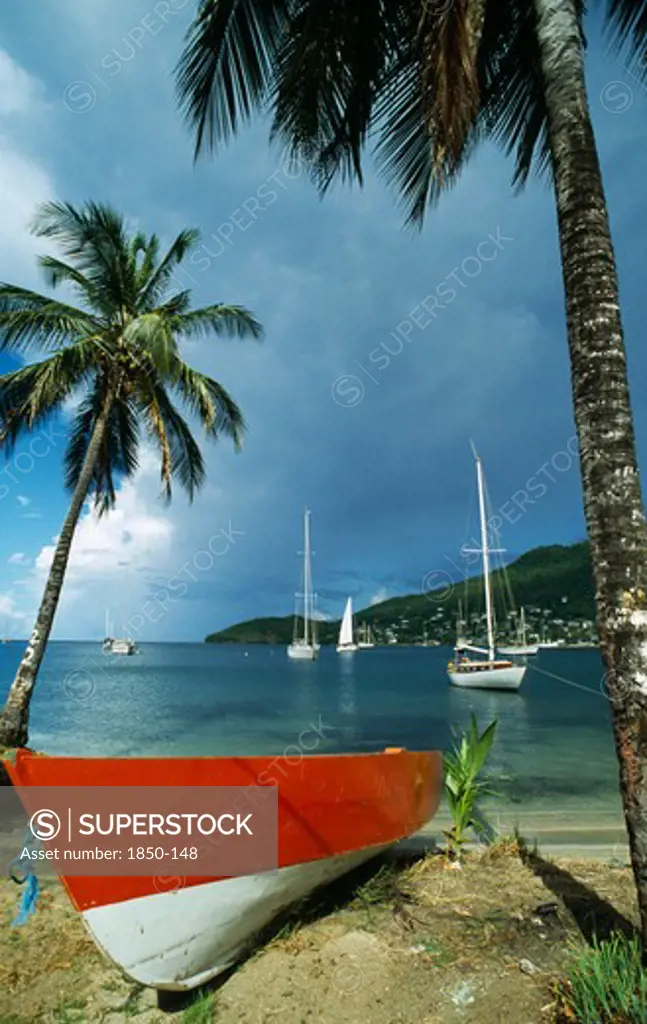 West Indies, Grenadines, Union Island, Orange And White Boat On Coconut Palm Tree Fringed Beach With Yachts Anchored In Bay