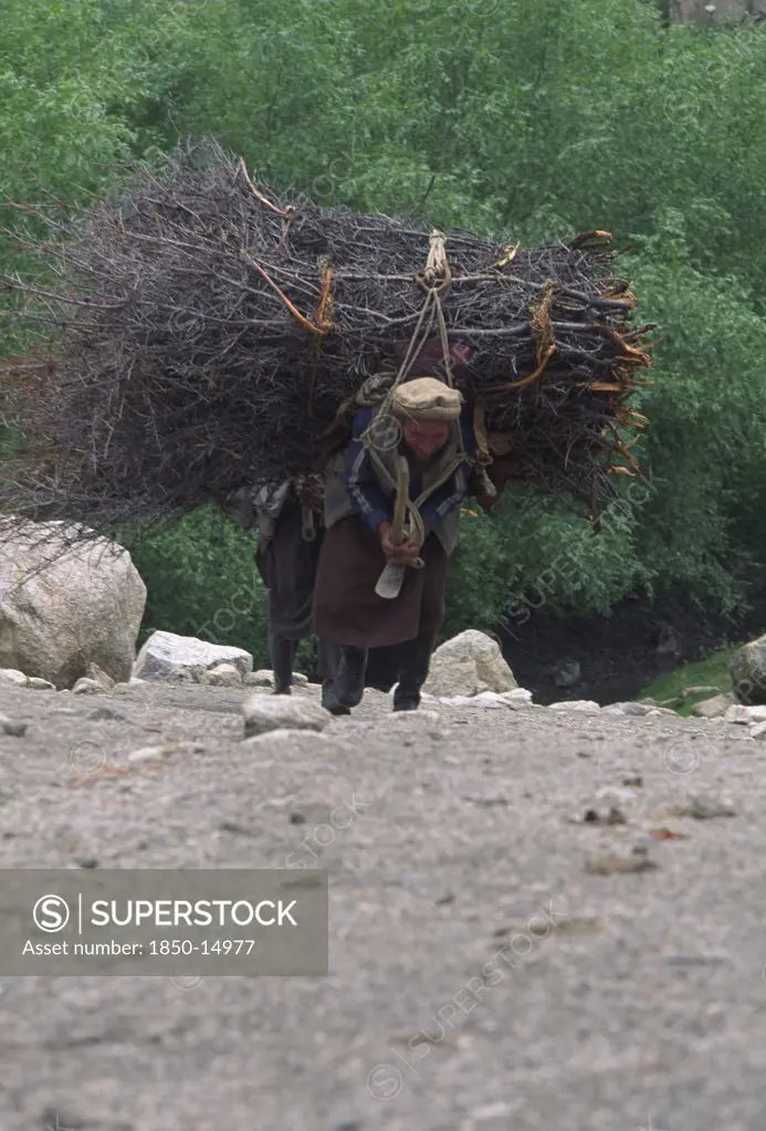 Pakistan, North West Frontier Province, Chitral, Hill Dwellers Carrying Brush Wood.