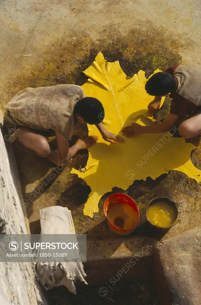 Morocco, Fes, Chouwara Tanneries.  Looking Down On Two Men With Stretched Yellow Hide.