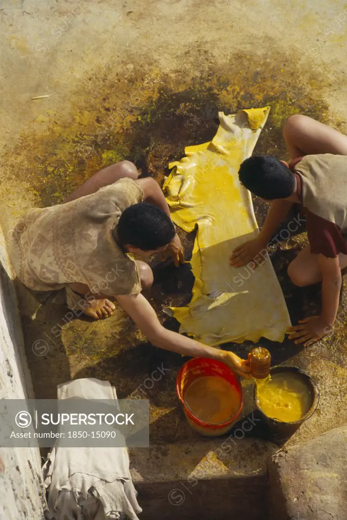 Morocco, Fes, Chouwara Tanneries.  Looking Down On Two Men Dyeing Stretched And Prepared Hide Yellow.