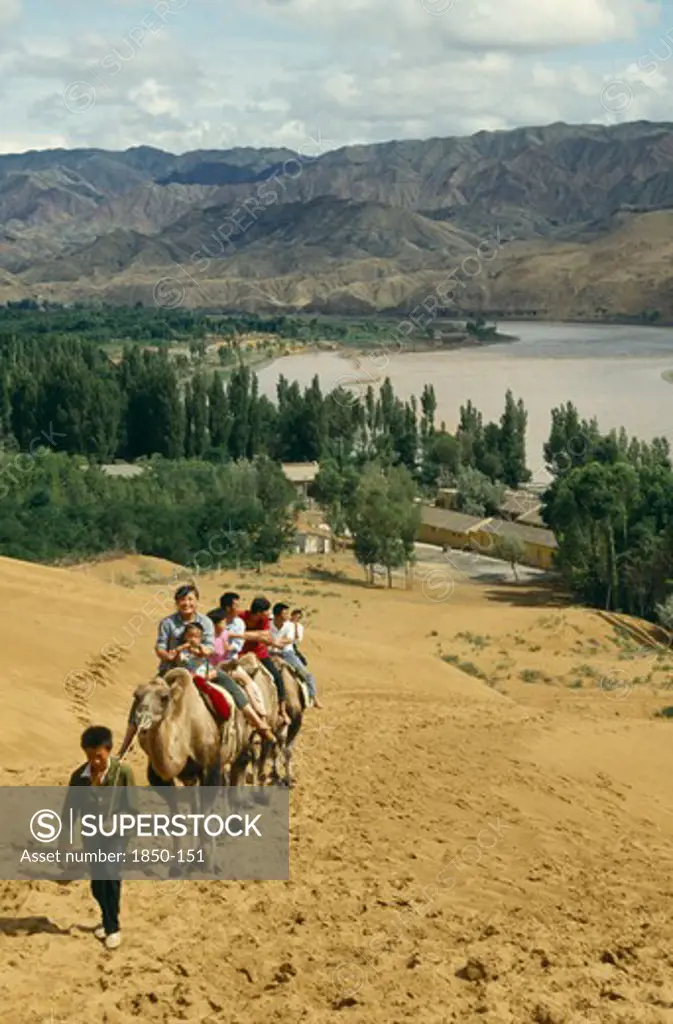 China, Ningxia, Yellow River, People On Traveling Up Hill On Camels