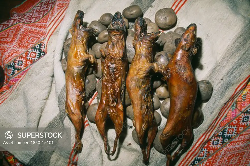 Peru, Andes, Cusco, 'Cancha Cancha. Detail Of Cooked Guinea Pig And Potatoes, Traditional Andean Food.'