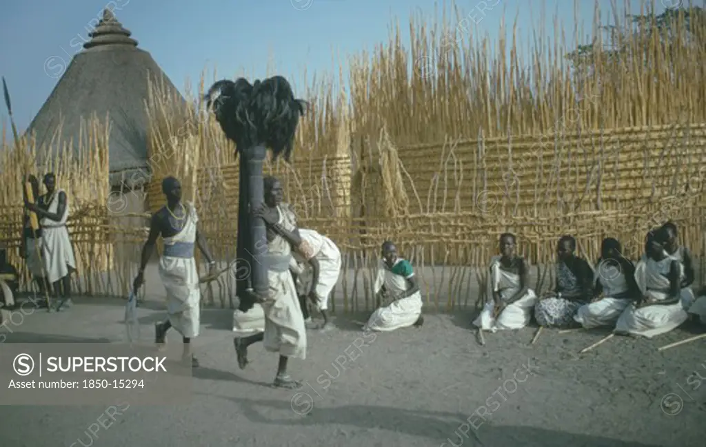 Sudan, Tribal Peoples, Shilluk Tribe Attending Coronation Of King.