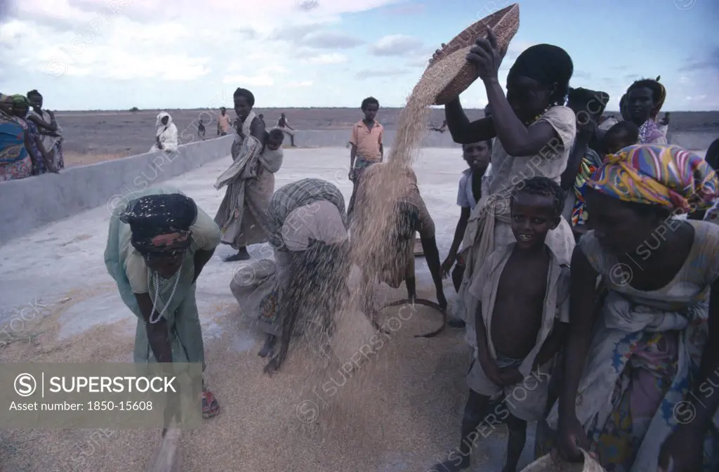 Somalia, Farming, Settled Nomad Women And Children Winnowing Rice Crop.